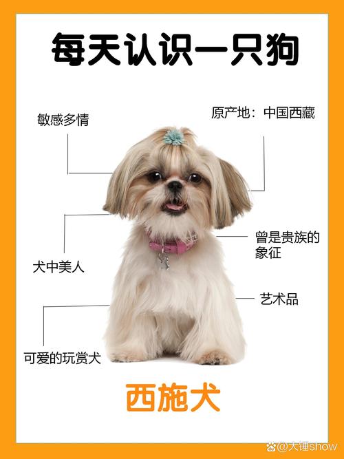 有没有人知道那种卷毛的西施犬。费用
大概是多少钱阿。