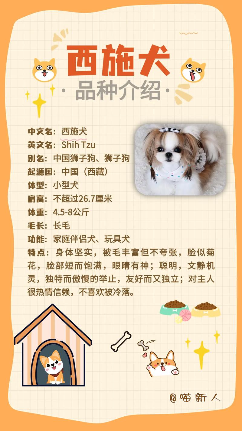 西施犬做造型多少钱一次
