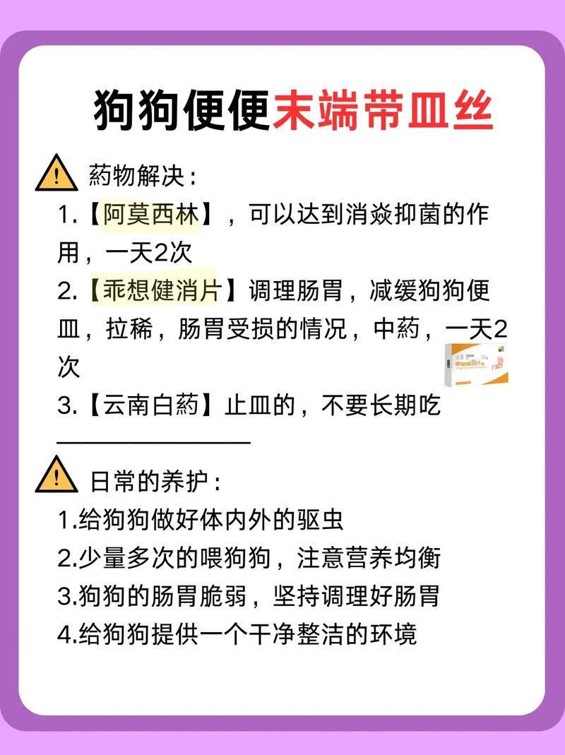 狗狗清火吃什么