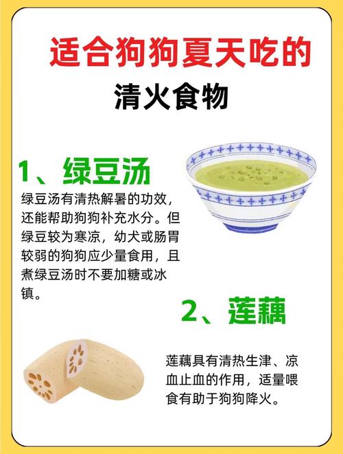 小狗上火眼屎多怎么办(狗眼睛红有眼屎怎么回事)