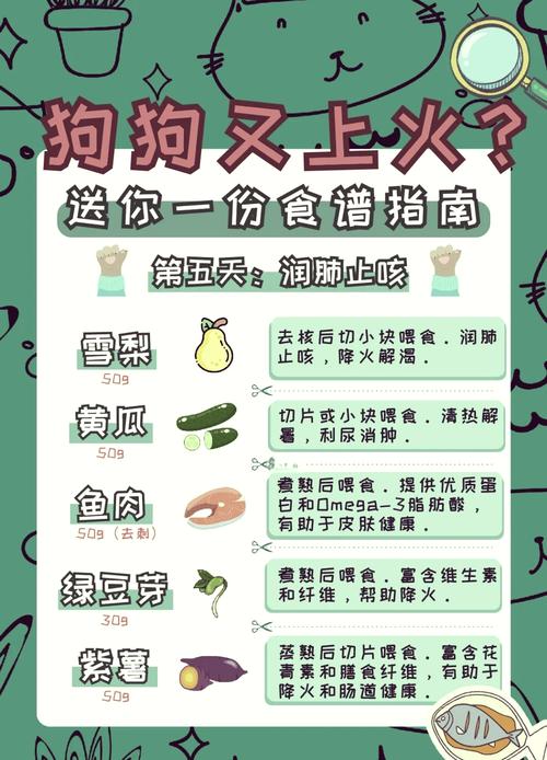 狗狗吃什么清火