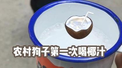 狗狗可以喝椰汁会怎么样