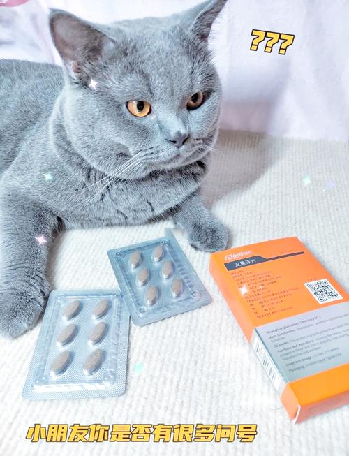 猫咪感冒后吃什么药好?