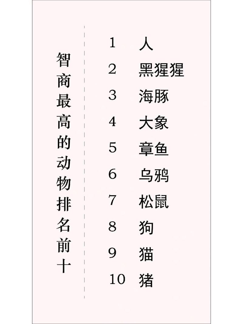 世界上最聪明的十种动物?