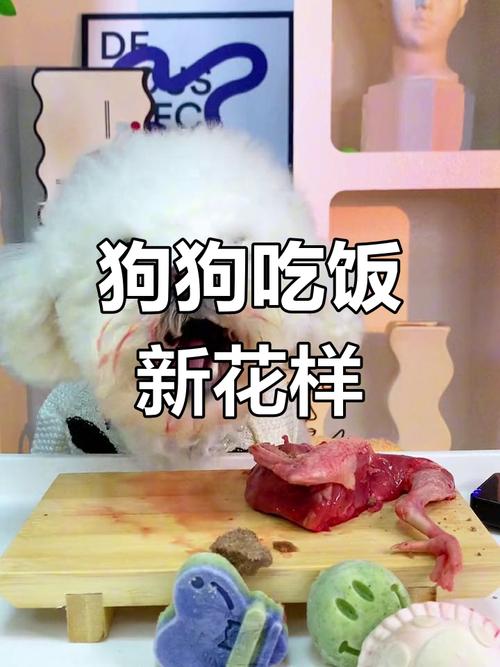 狗狗可以吃鸽子吗，狗狗可以吃鸽子肉吗