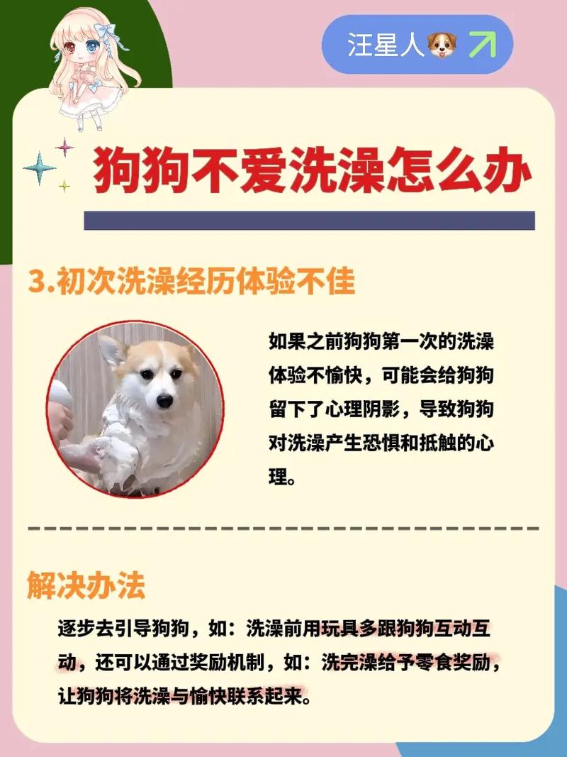 自己家狗不爱洗澡,怎么办?