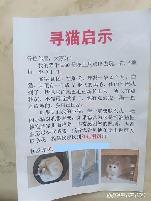 黄绿相见的鹦鹉是什么品种呢?养它需要注意什么呢?