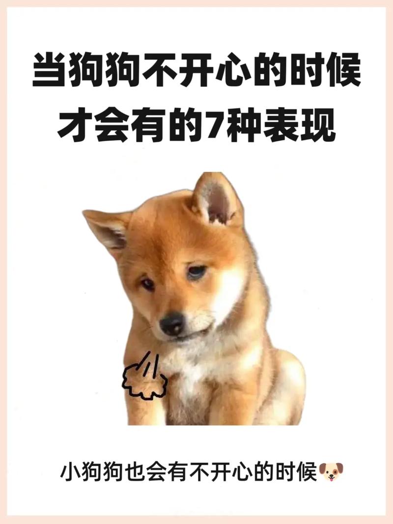 狗子不开心的表现有哪些?