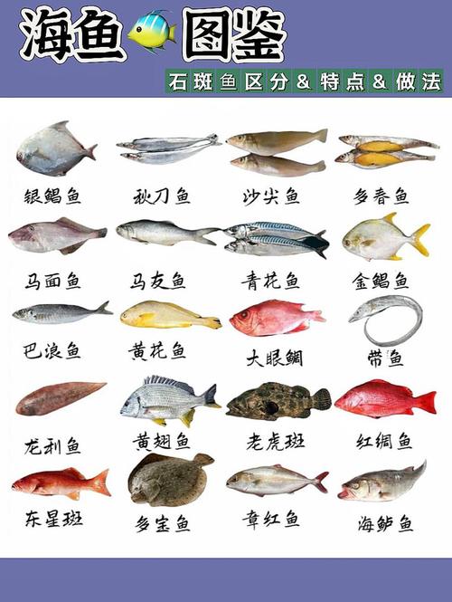 100种海洋鱼类名称大全介绍