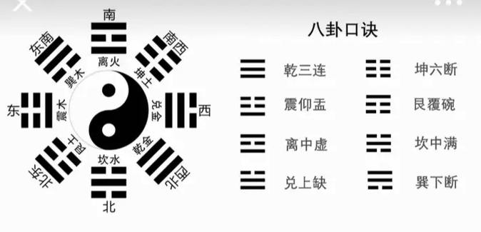 鹰的精神品质八个字是什么?