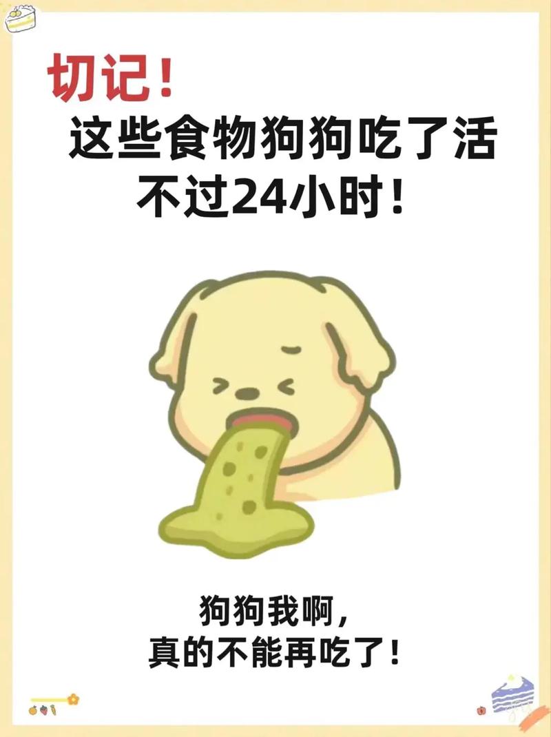 狗拉稀给它吃什么食物