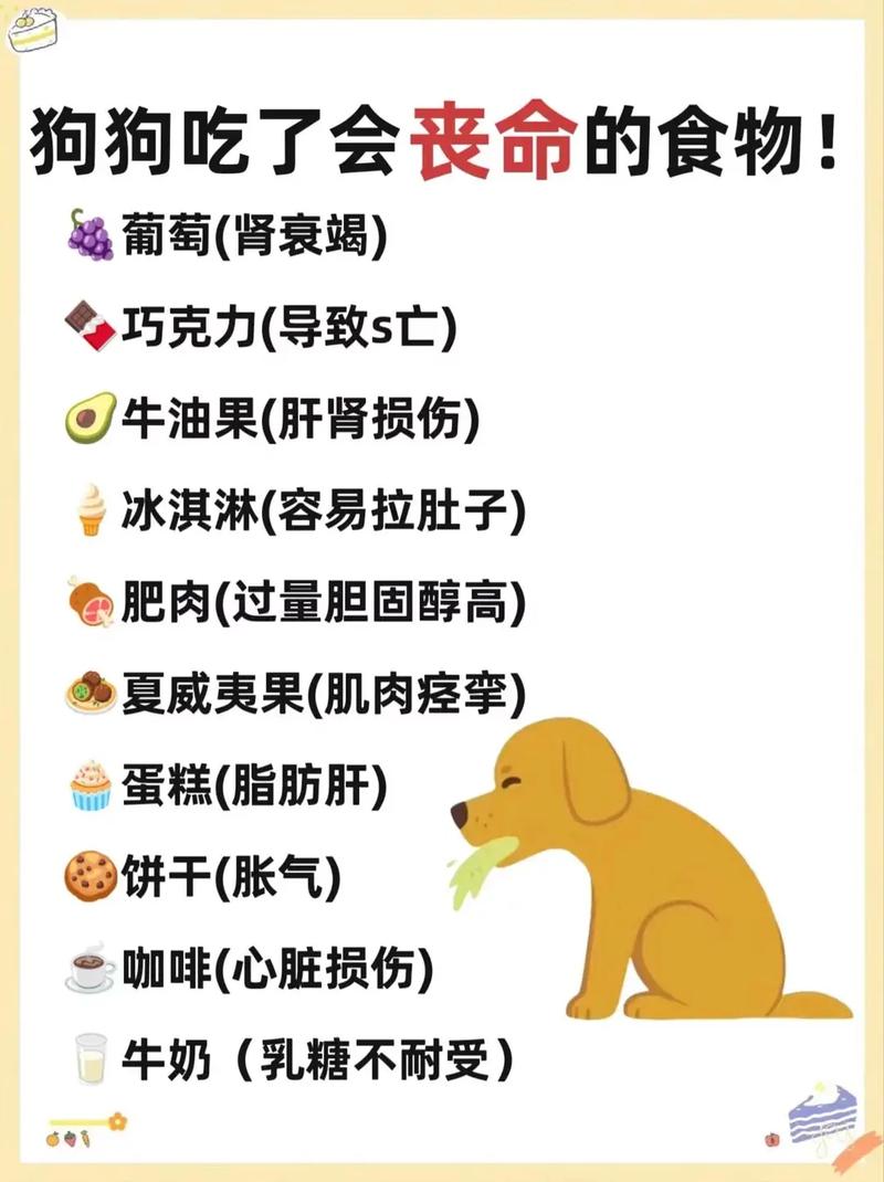 狗狗拉稀吃什么食物