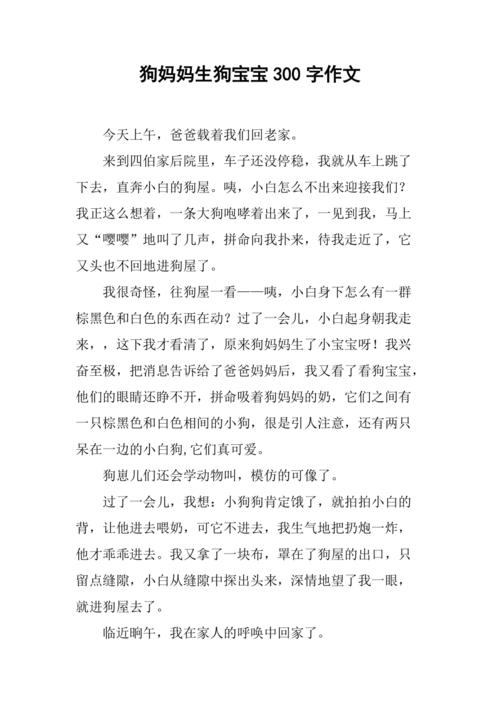 贝灵顿梗是什么品种?
