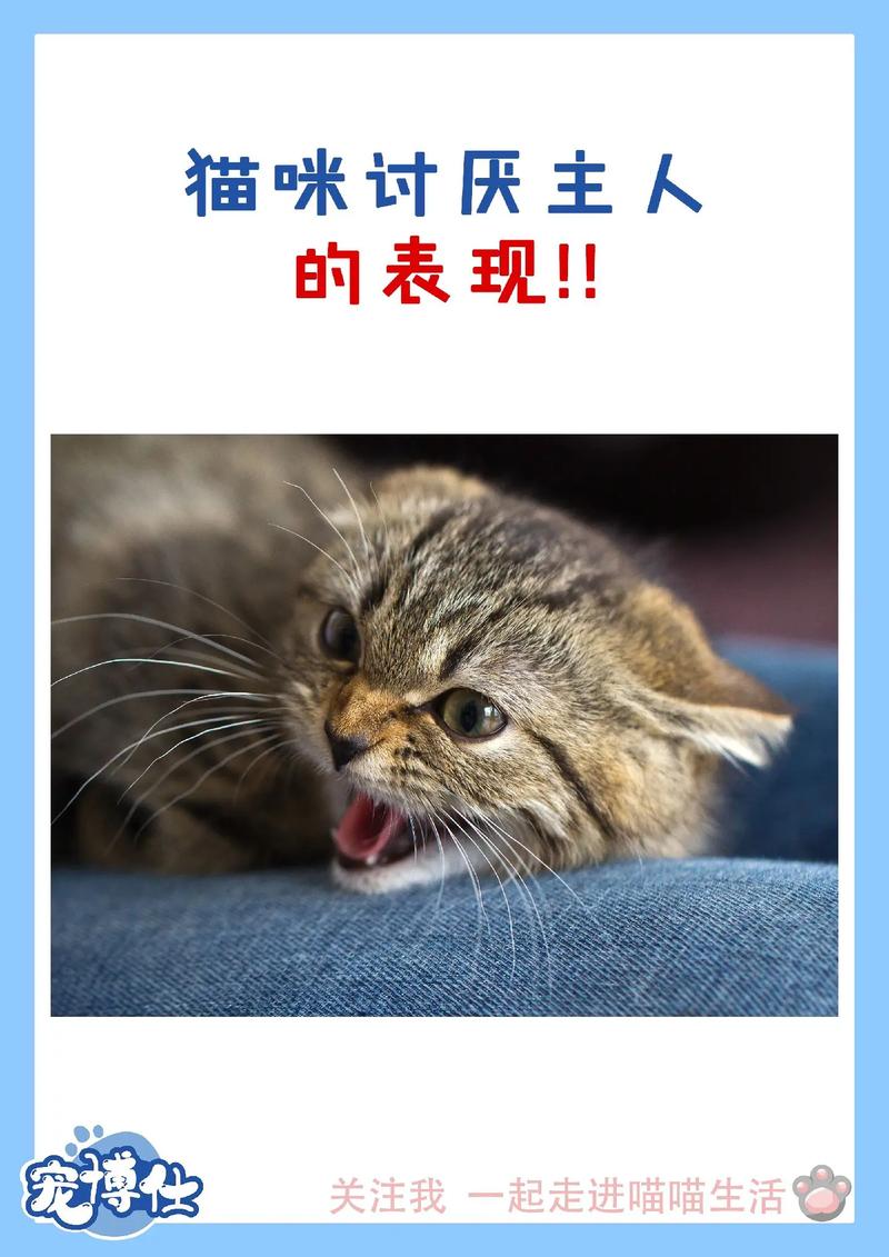 猫咪讨厌你的8种表现