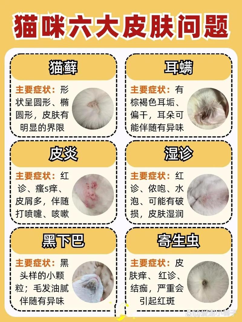 猫咪得了螨虫性的皮肤病该怎么办