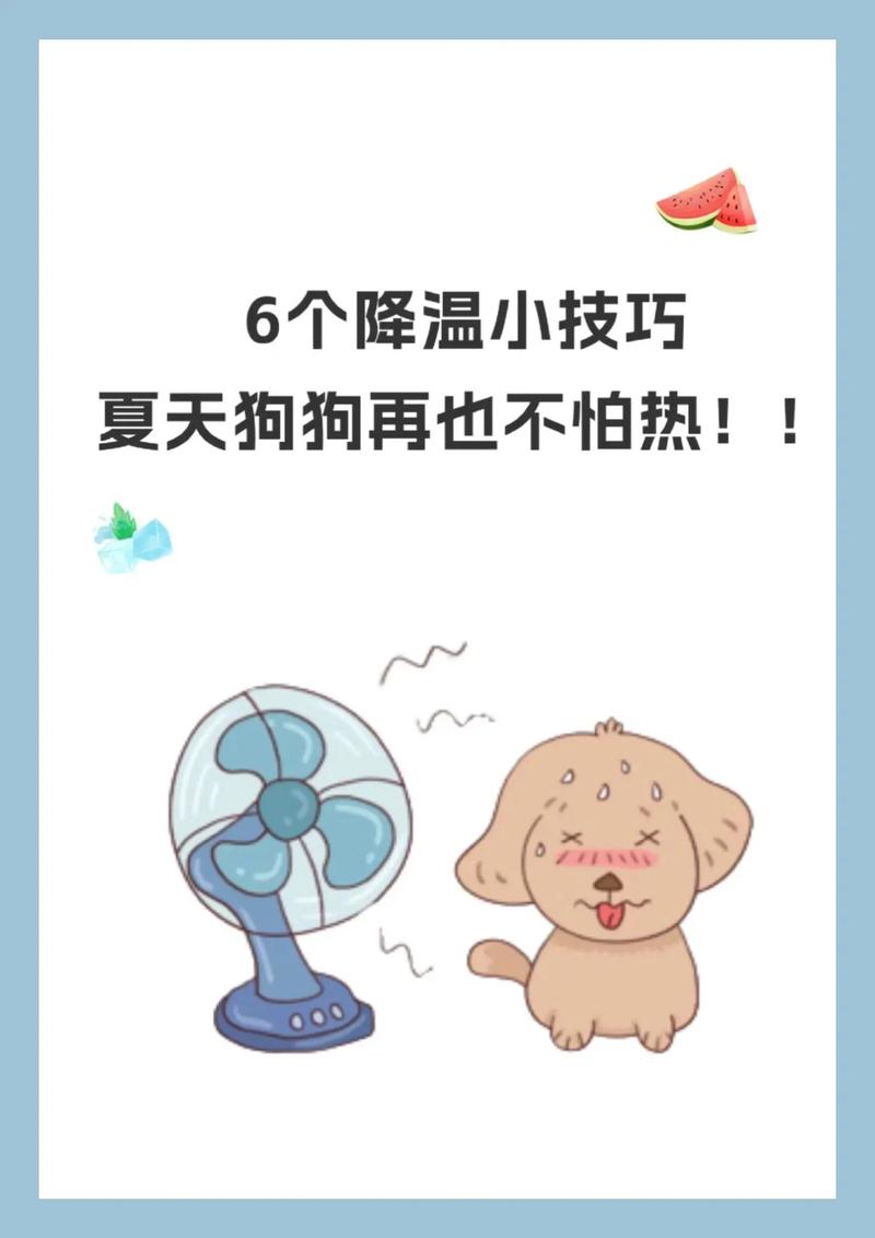 狗狗发烧该怎么办