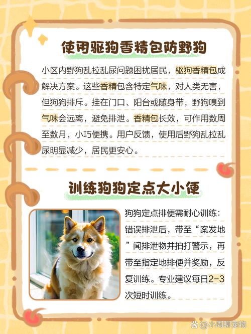 狗狗到处拉屎尿怎么办