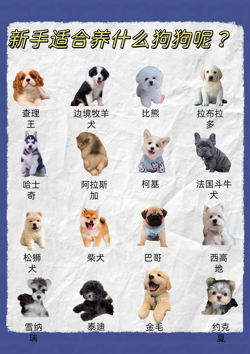 狗的种类及习惯?