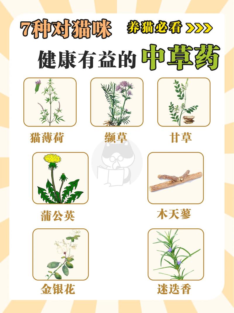 那些中草药对猫咪有害?