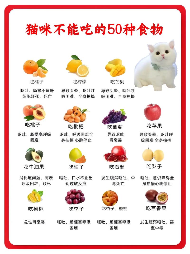 猫能不能吃炸饺子