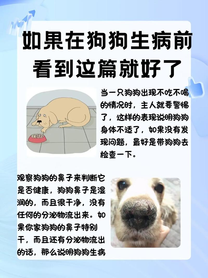狗狗不舒服的症状是什么