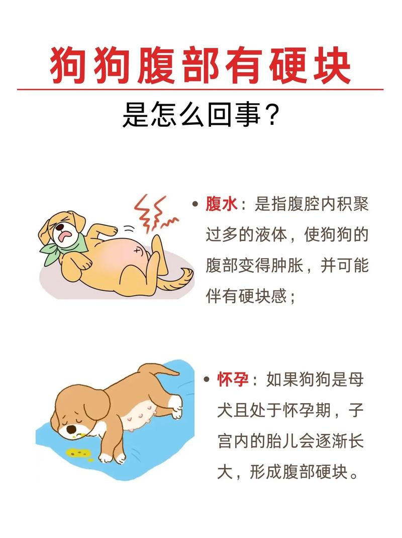 狗狗肚子疼是什么病症?该怎么办?