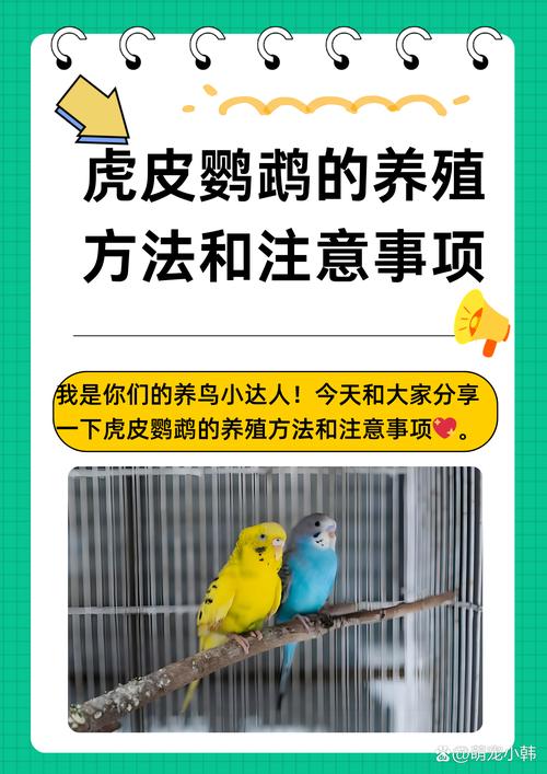 八哥犬有哪些优缺点?
