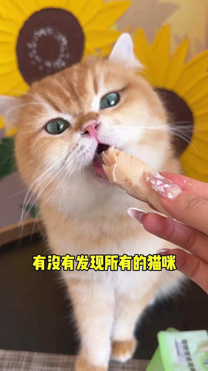 猫吃了鸡肉会怎么样?