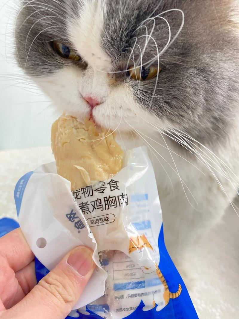 猫咪能吃鸡肉吗