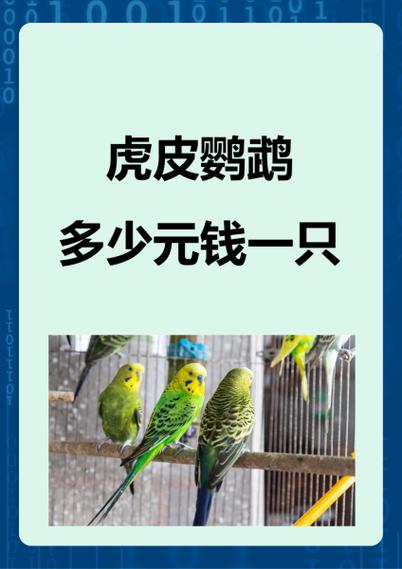 一只鹦鹉的费用
大概多少钱?