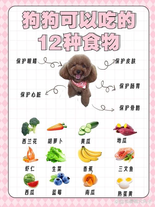狗狗能吃鸡蛋糕吗