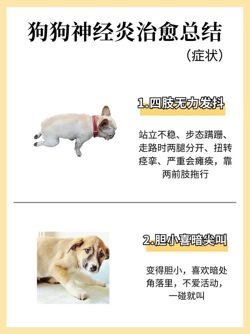 狗狗出现急性脑炎会出现哪些症状?
