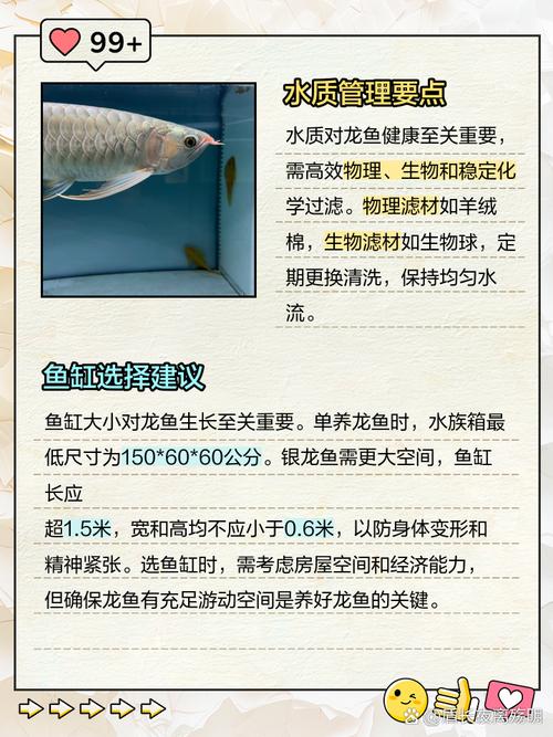 龙鱼哪一种比较好
养