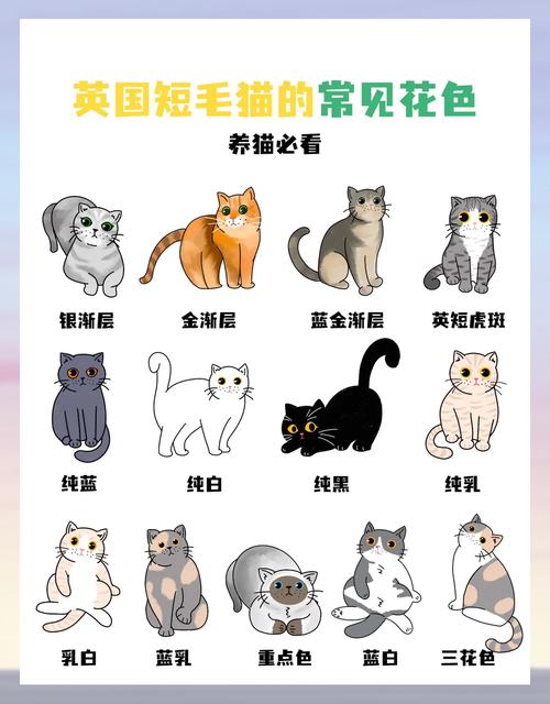 猫咪们喜欢什么颜色?