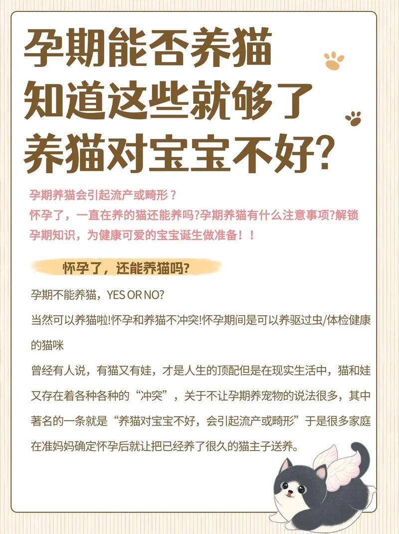 备孕可以养猫吗