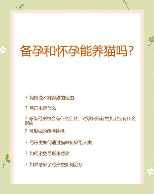 备孕时可以养猫吗?对宝宝身体有哪些影响呢?