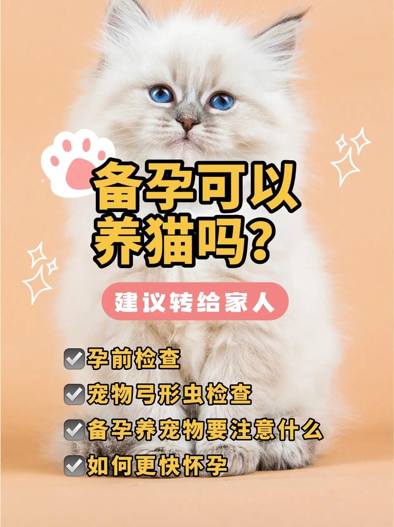 备孕期间适合养猫吗?会不会影响到怀孕?