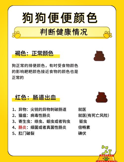 三个月的狗狗吃了泡泡糖,会不会死啊?怎么办啊,求众多爱狗人士告诉_百度...