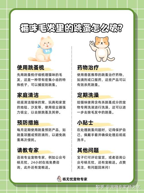 猫咪去跳蚤最简单的方法
