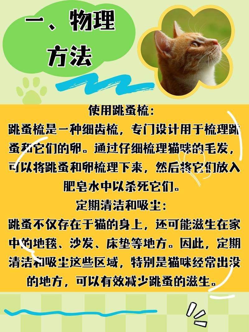 猫咪身上长跳蚤了怎么办?
