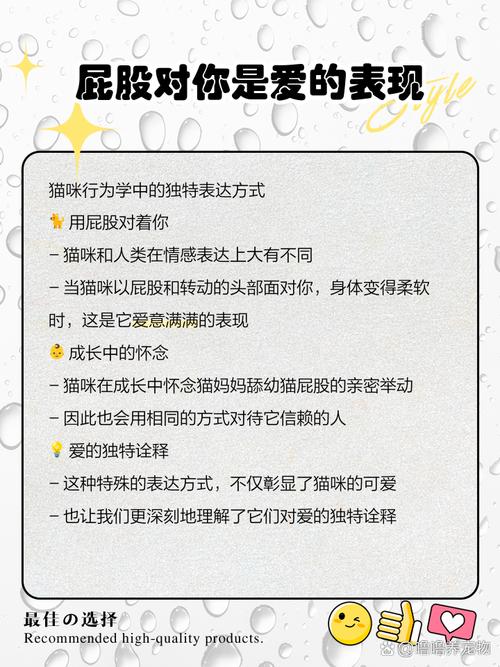 猫猫为什么总是屁股对着我?