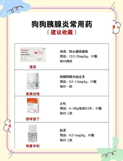 狗狗得了胰腺炎用什么药比较好
