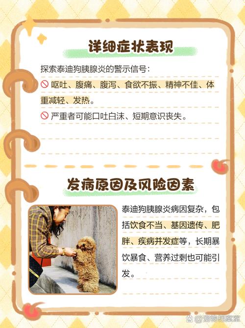 泰迪狗狗4岁,胰腺炎,怎么办