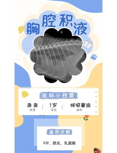 猫肺部有积液是什么病?