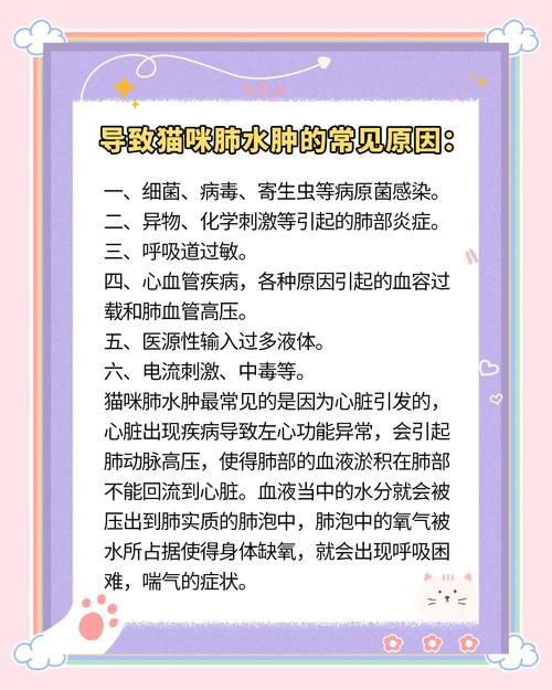 猫肺积水怎么办?