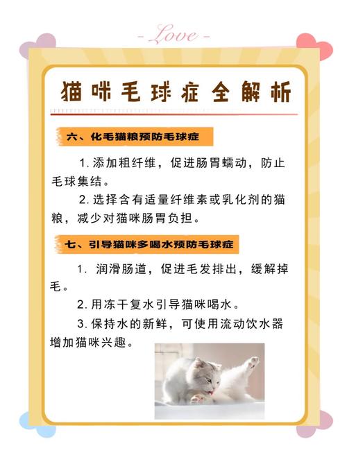 猫咪得了毛球症怎么治疗?
