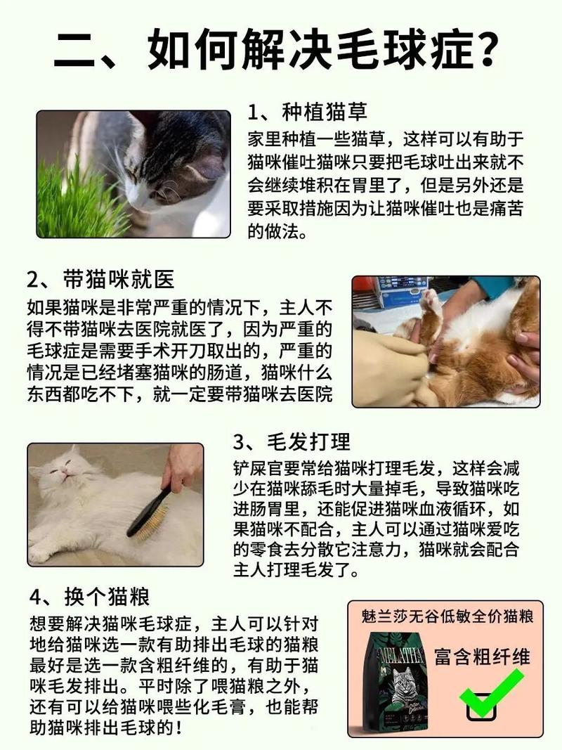 帮助猫咪排出毛球方法有哪些?