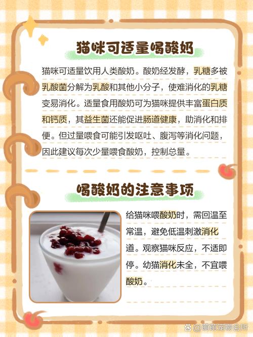 猫咪能吃酸奶么?