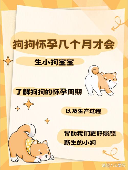 狗怀孕几个月生小狗