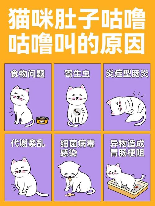 猫猫肚子咕咕声很大？猫猫肚子咕咕声很大,还大喘气？